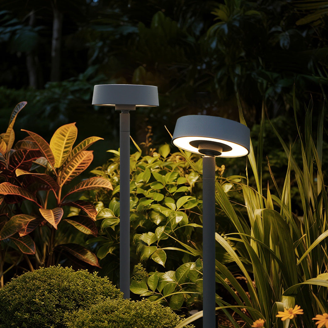 Multiple landscape outdoor lights creating dramatic uplighting effects among tropical plants and ornamental foliage