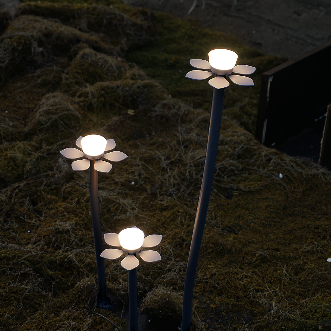 Multiple outdoor landscape lights LED fixtures creating layered lighting scheme in modern residential outdoor entertainment area