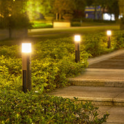 Multiple solar pathway lights providing evening illumination in landscaped yard setting