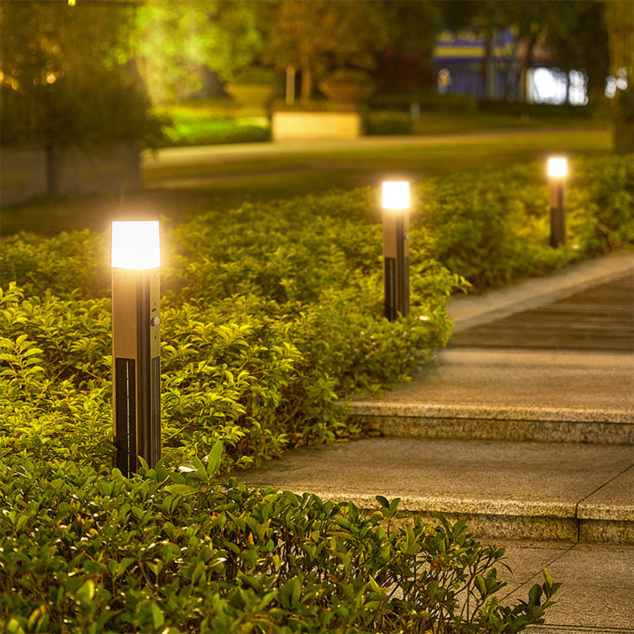 Multiple solar pathway lights providing evening illumination in landscaped yard setting