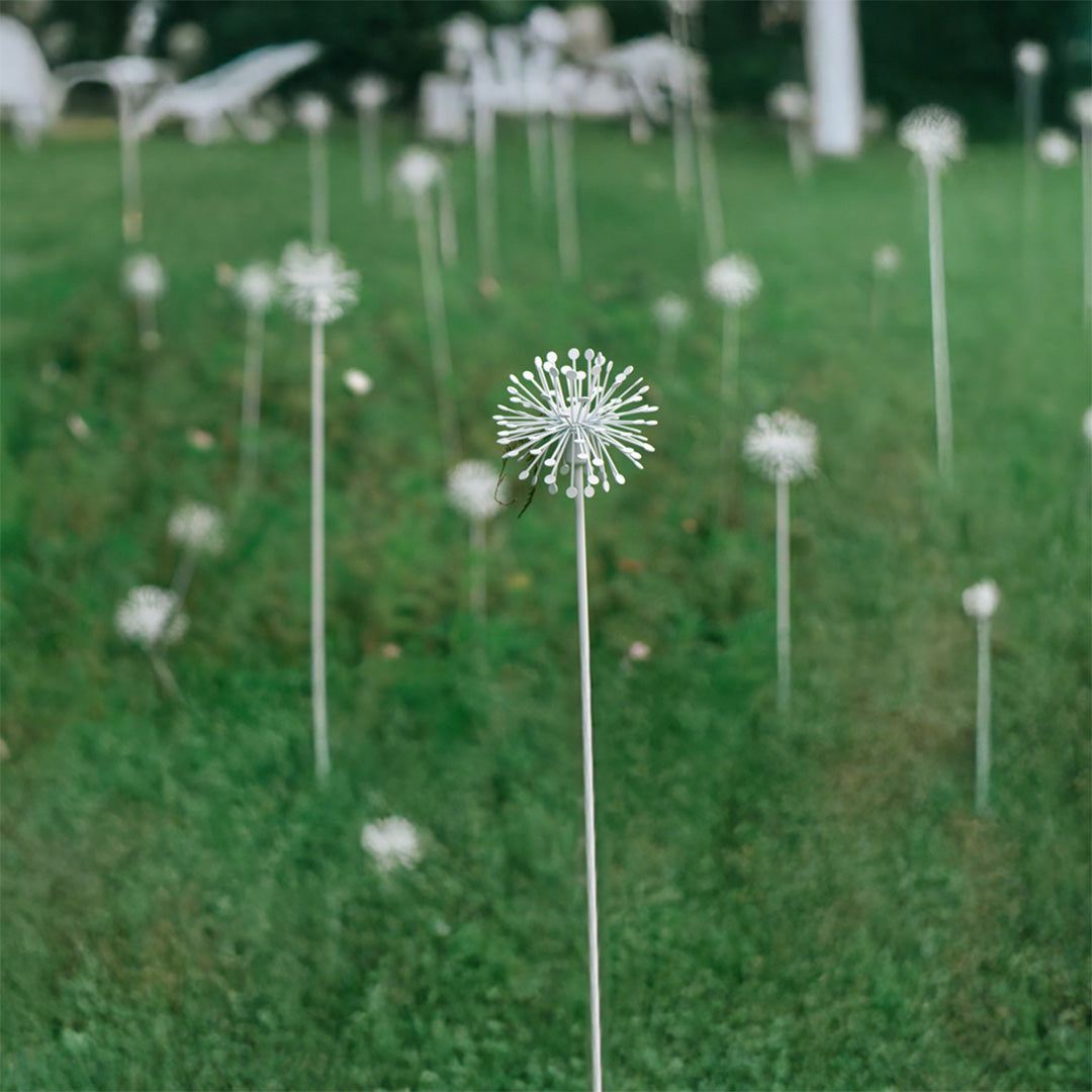 Multiple white starburst landscape garden lights installed on green lawn creating stunning outdoor lighting display