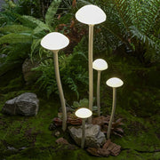 Natural garden setting with multiple mushroom-style garden lights landscape creating enchanting evening atmosphere among plants
