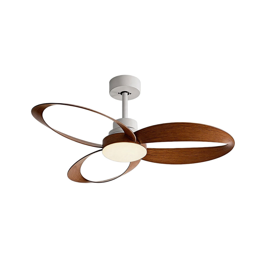 Modern ceiling fans with light featuring natural wood loop blades and a black ceiling mount.