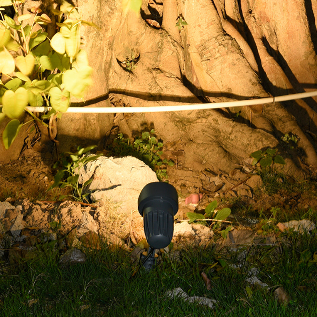 Nighttime garden scene showcasing multiple landscape lights illuminating pathways and plantings