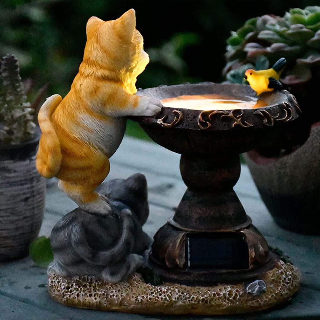 Orange and gray kittens with decorative fountain bowl creating charming garden water feature