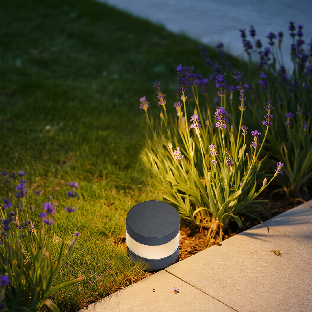 Contemporary path light illuminating ornamental grasses beside modern concrete pathway with warm ambient glow
