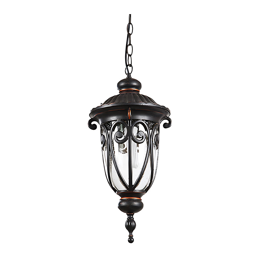 Ornate hanging lantern fixture with curved glass and detailed iron craftsmanship