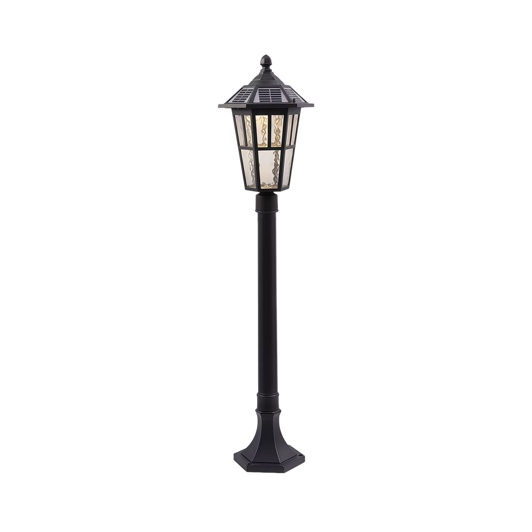 Outdoor landscape path lighting with a black finish, providing warm illumination.