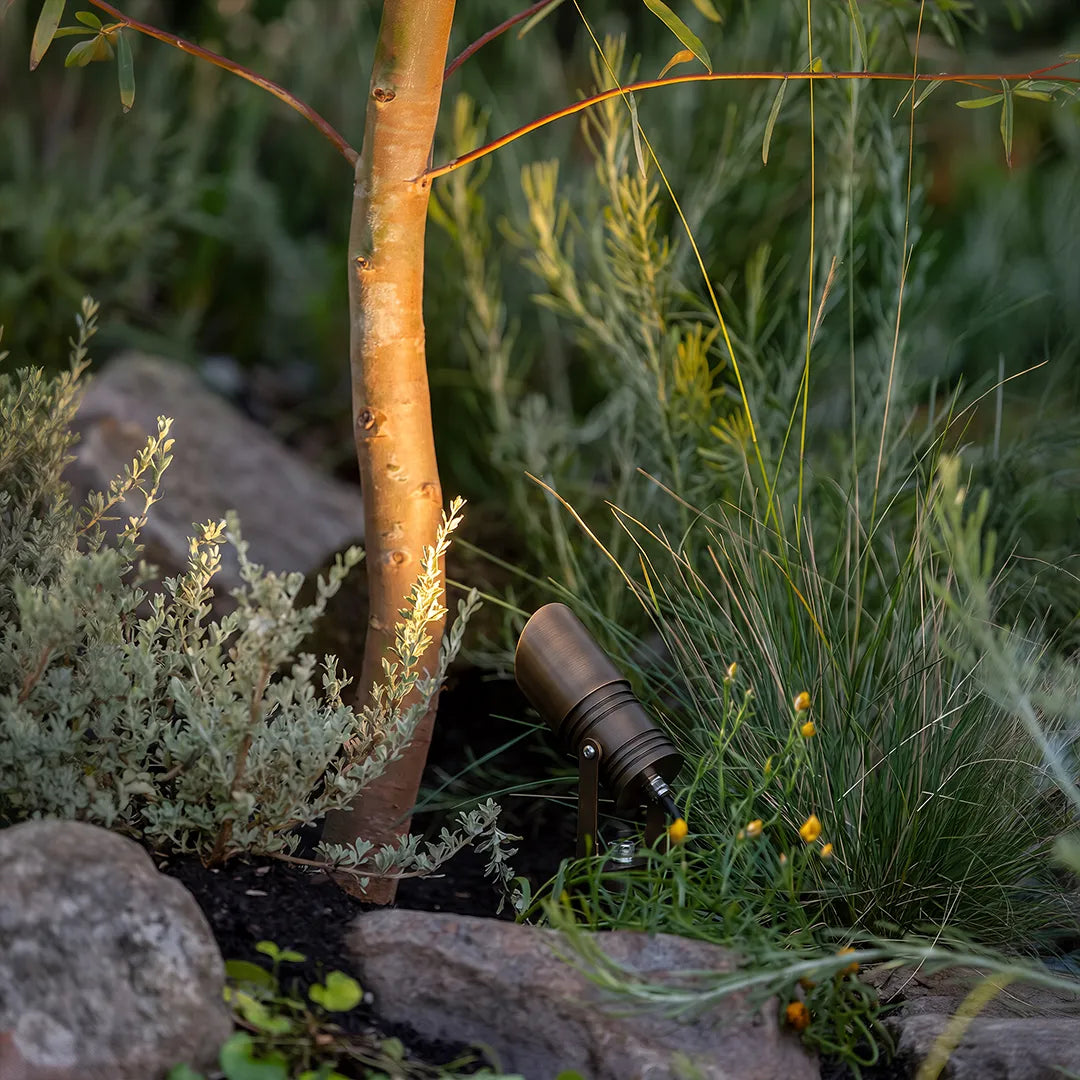 Outdoor landscape spotlight with black metal housing beside tree trunk and garden plants