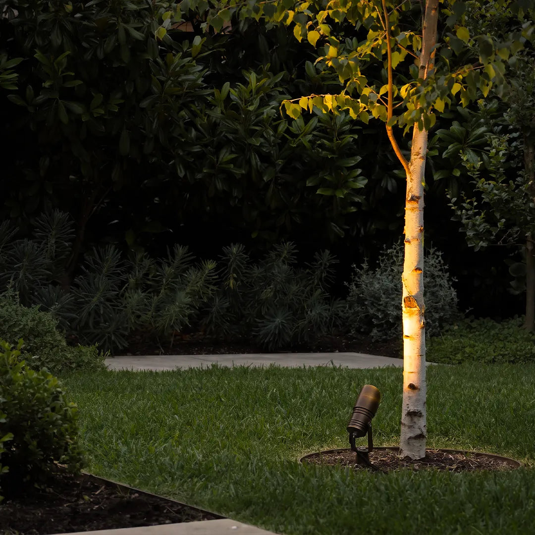 Outdoor landscape spotlight illuminating tree trunk and garden lawn at night