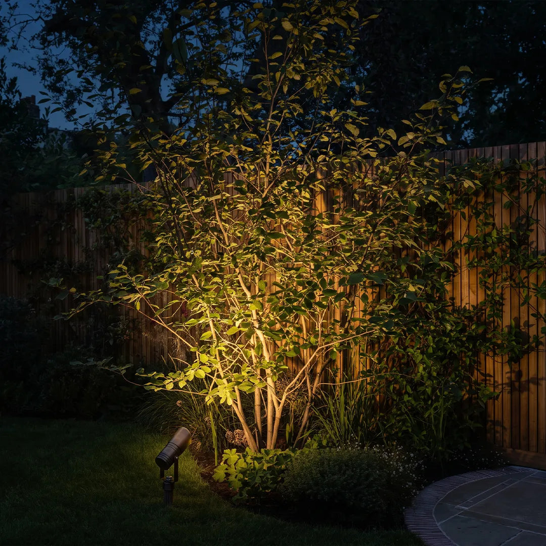 Outdoor landscape spotlights illuminating backyard trees and shrubs at night