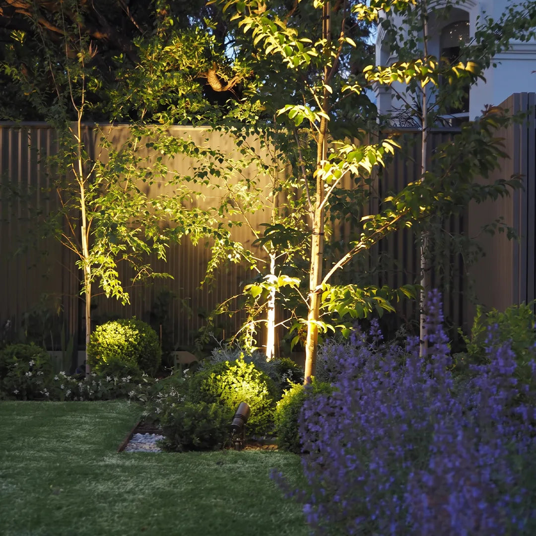 Outdoor landscape spotlights illuminating trees and flowers in backyard garden