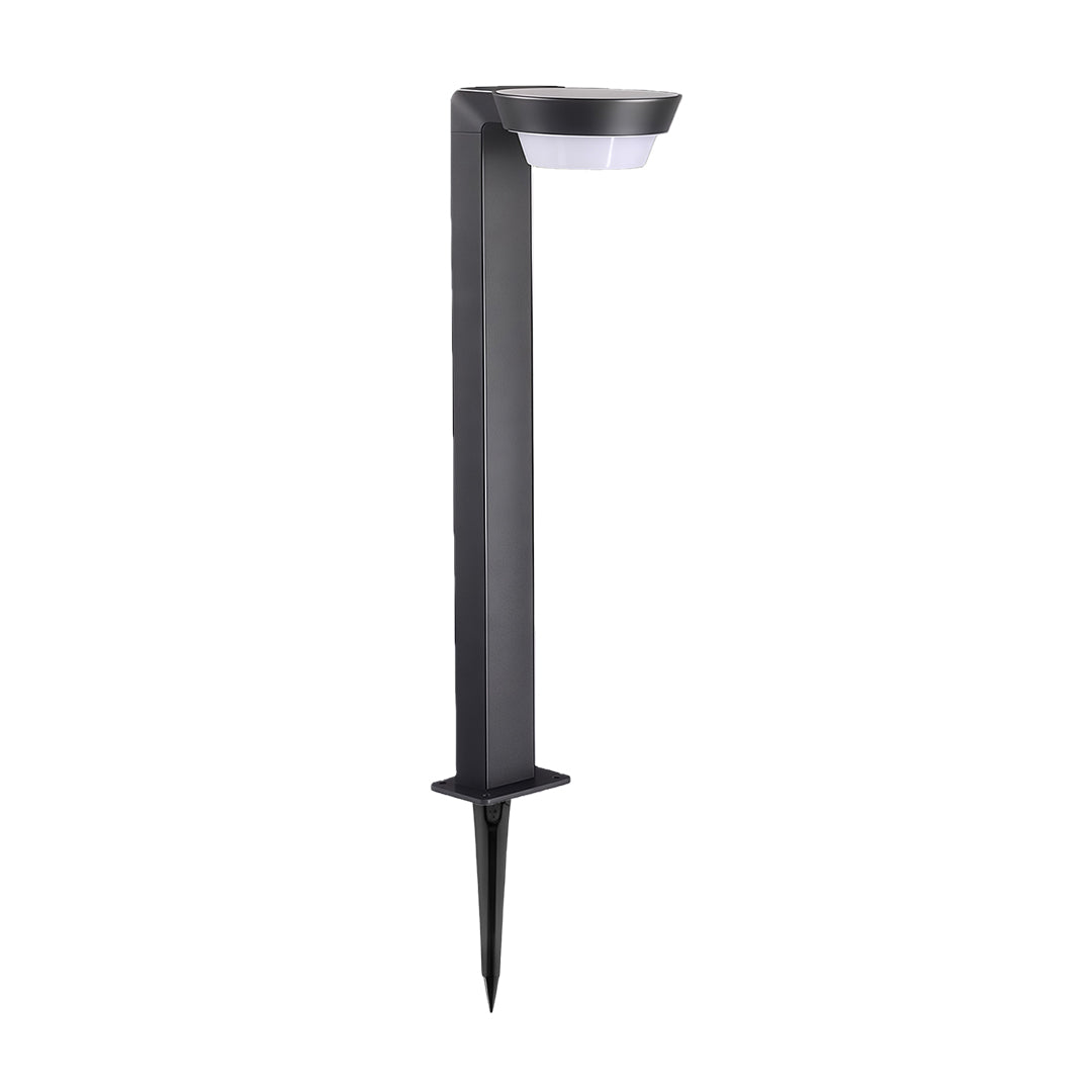 Outdoor LED path lighting with modern design, illuminating a landscaped area with focused light.