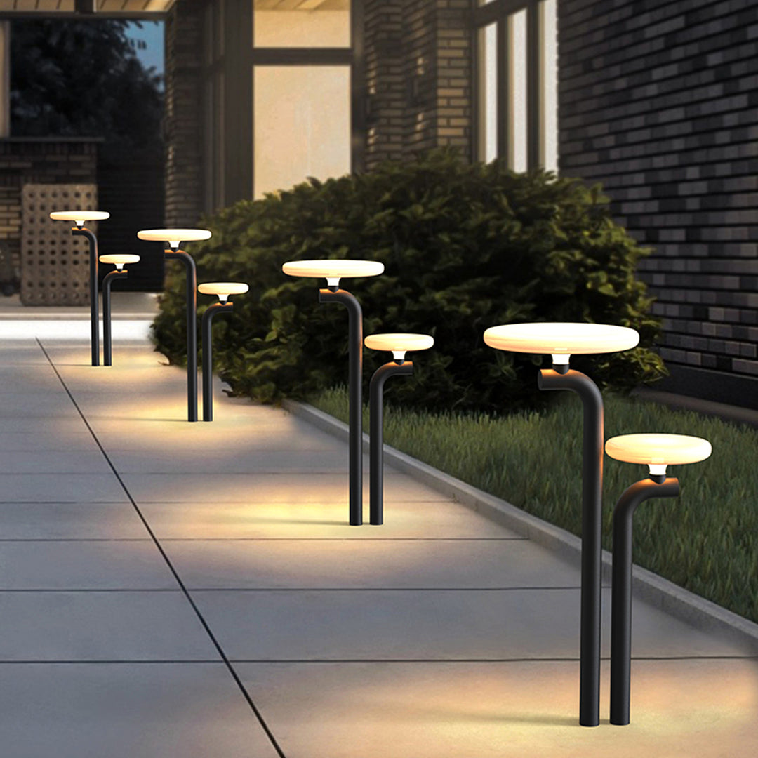 Night walkway illuminated by modern outdoor lighting path lights placed beside planted areas.