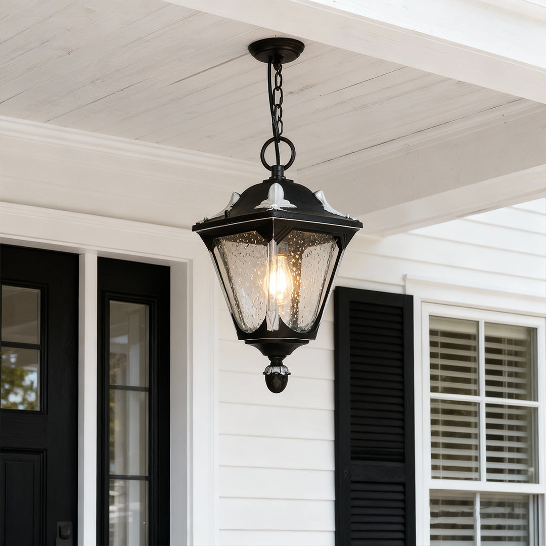 Outdoor porch pendant light hanging from white ceiling near black door with modern farmhouse style