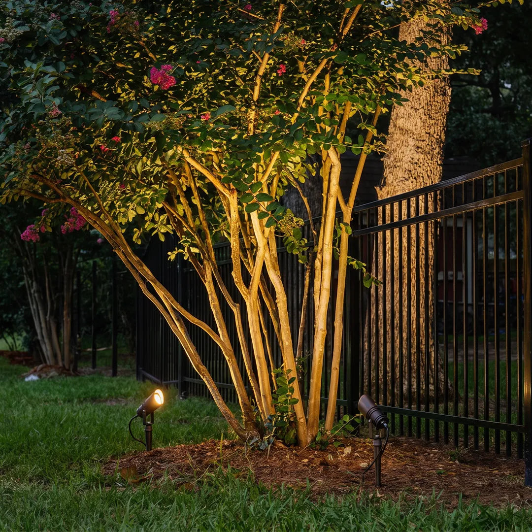 Outdoor spotlights with warm uplighting on multi stem tree beside garden fence