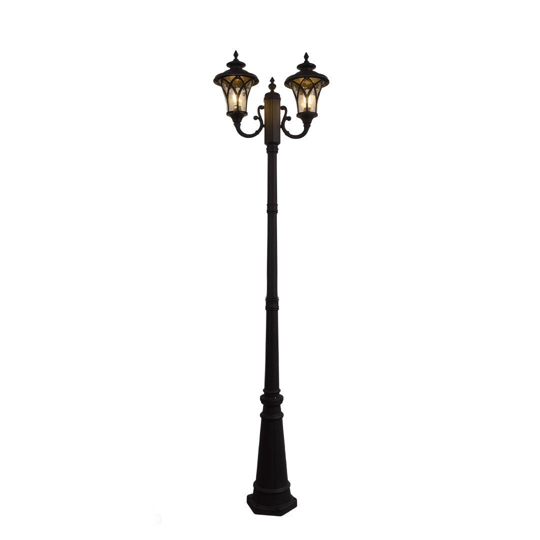 Outdoor street light with a black finish, enhancing a modern exterior.