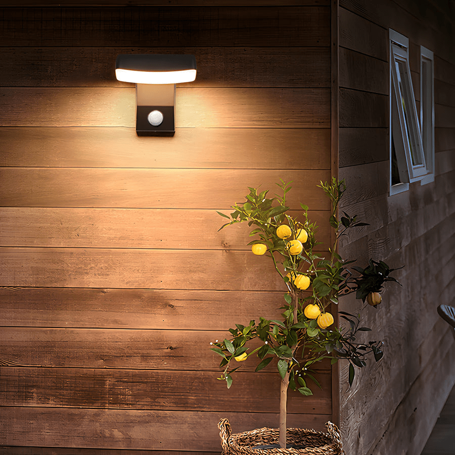 Outdoor wall lights with motion sensor illuminating a rustic wooden wall beside a lemon tree.