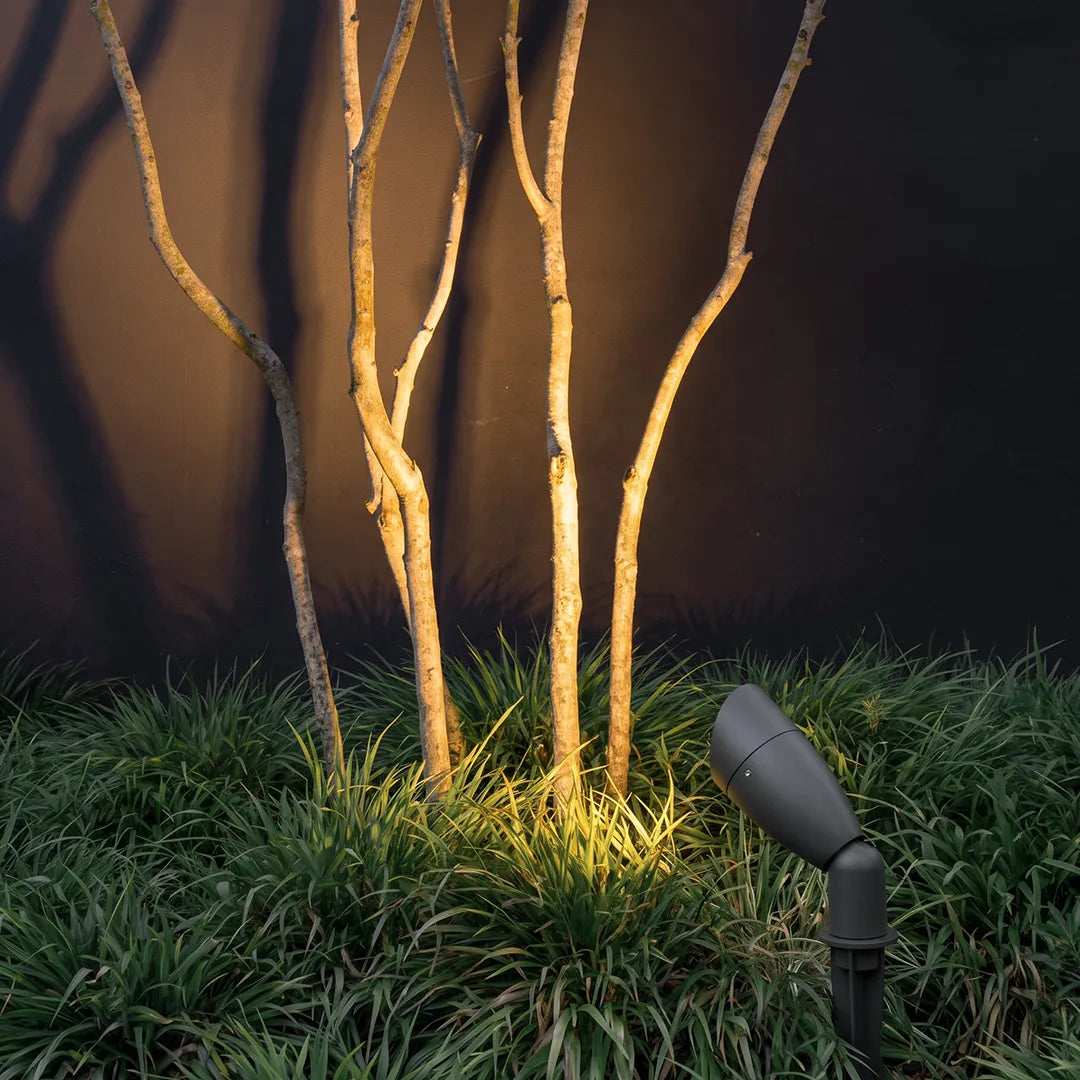 Outdoor waterproof LED landscape spotlight illuminating slender tree trunks and grass at night.