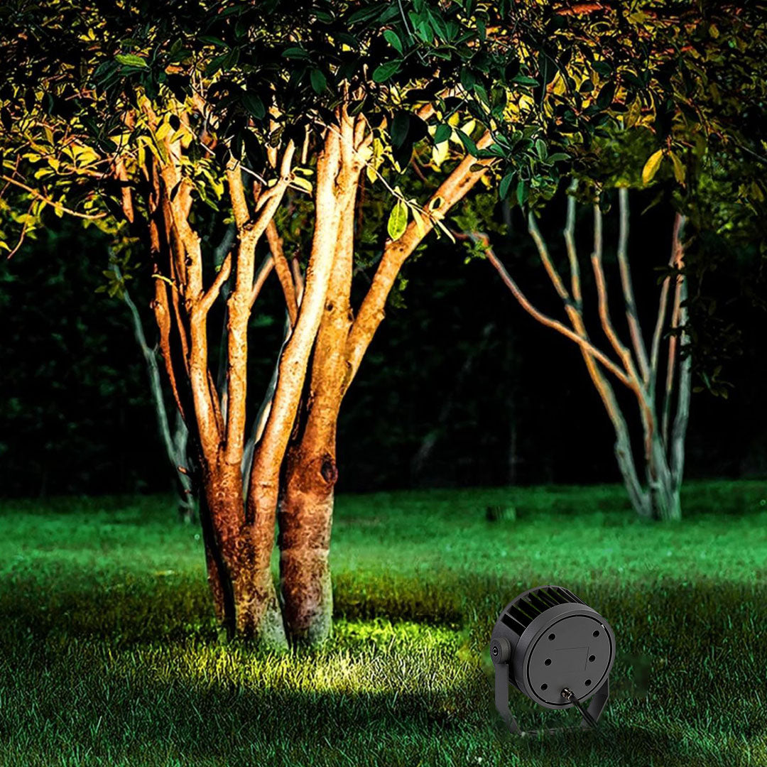 Outdoor waterproof LED spotlight providing accent lighting for residential garden landscaping