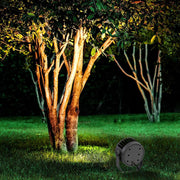 Outdoor waterproof LED spotlight providing accent lighting for residential garden landscaping