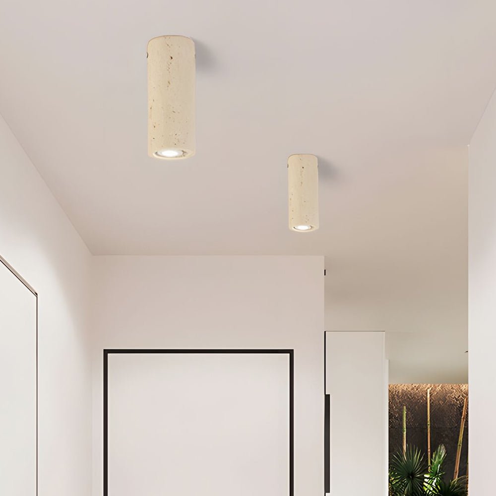 Pair of cylinder downlights installed in a modern living space, providing ambient and stylish overhead illumination.