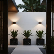 Pair of outdoor up down wall lights illuminating minimalist entrance with succulents