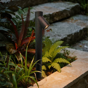 Pair of black LED path lights showing different heights for coordinated landscape lighting design