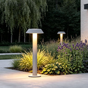 Path lighting LED installed along a landscaped walkway, featuring modern bollard lights and warm illumination beside ornamental grasses.