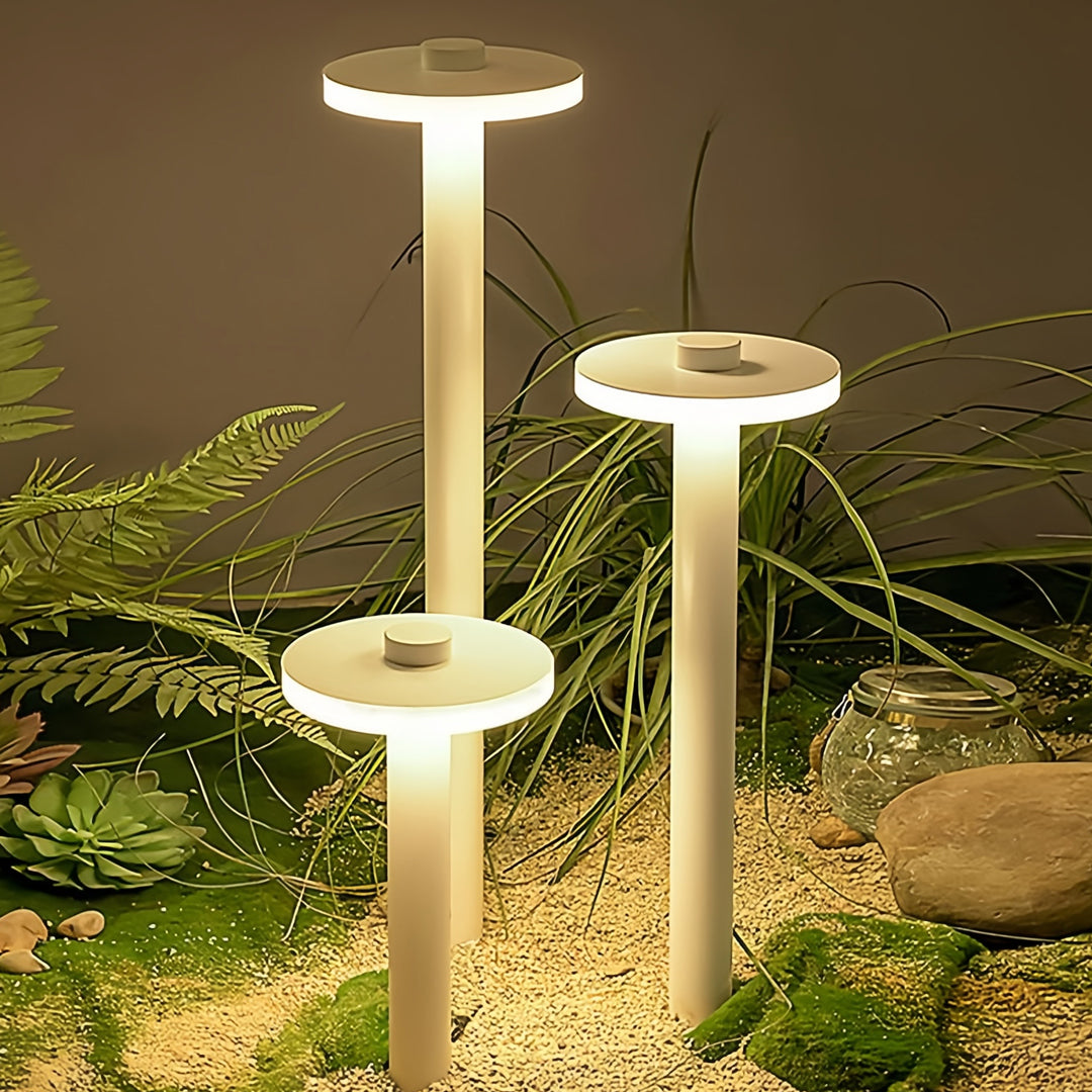 Warm white path lighting outdoor fixtures highlighting a landscaped garden area at night.