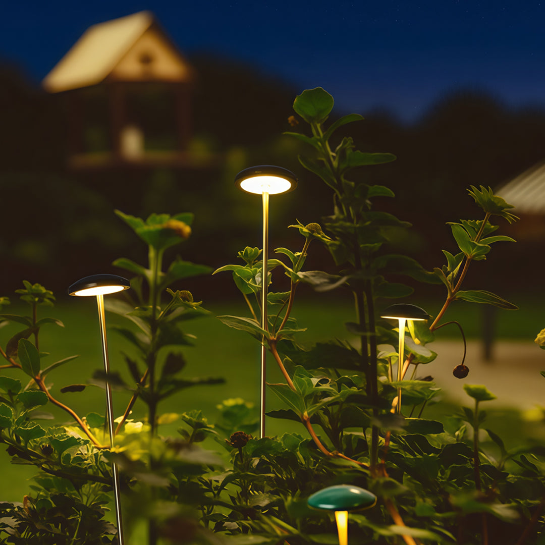 Tall slim pathway lights installed beside a brick wall and green lawn, delivering balanced pathway outdoor lighting for residential areas.
