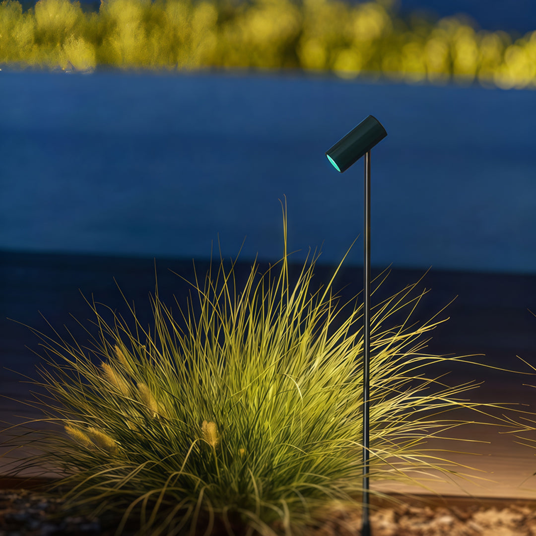 A modern pathway lamp illuminating decorative shrubs in soft daylight, offering clean pathway outdoor lighting for landscaped yards.