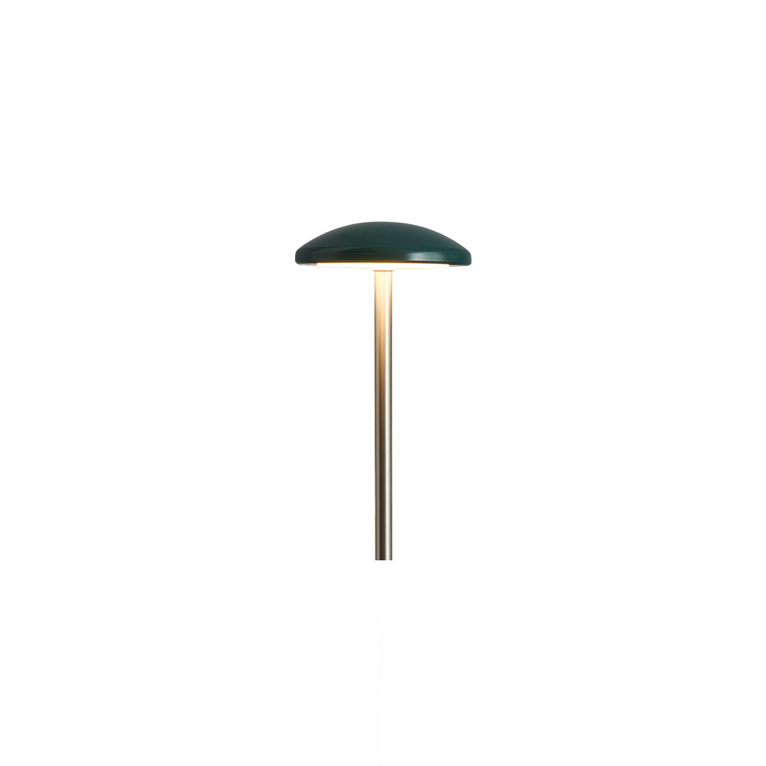 A single minimalist flat-top pathway light on a slender pole, suitable for clean and modern pathway outdoor lighting designs.