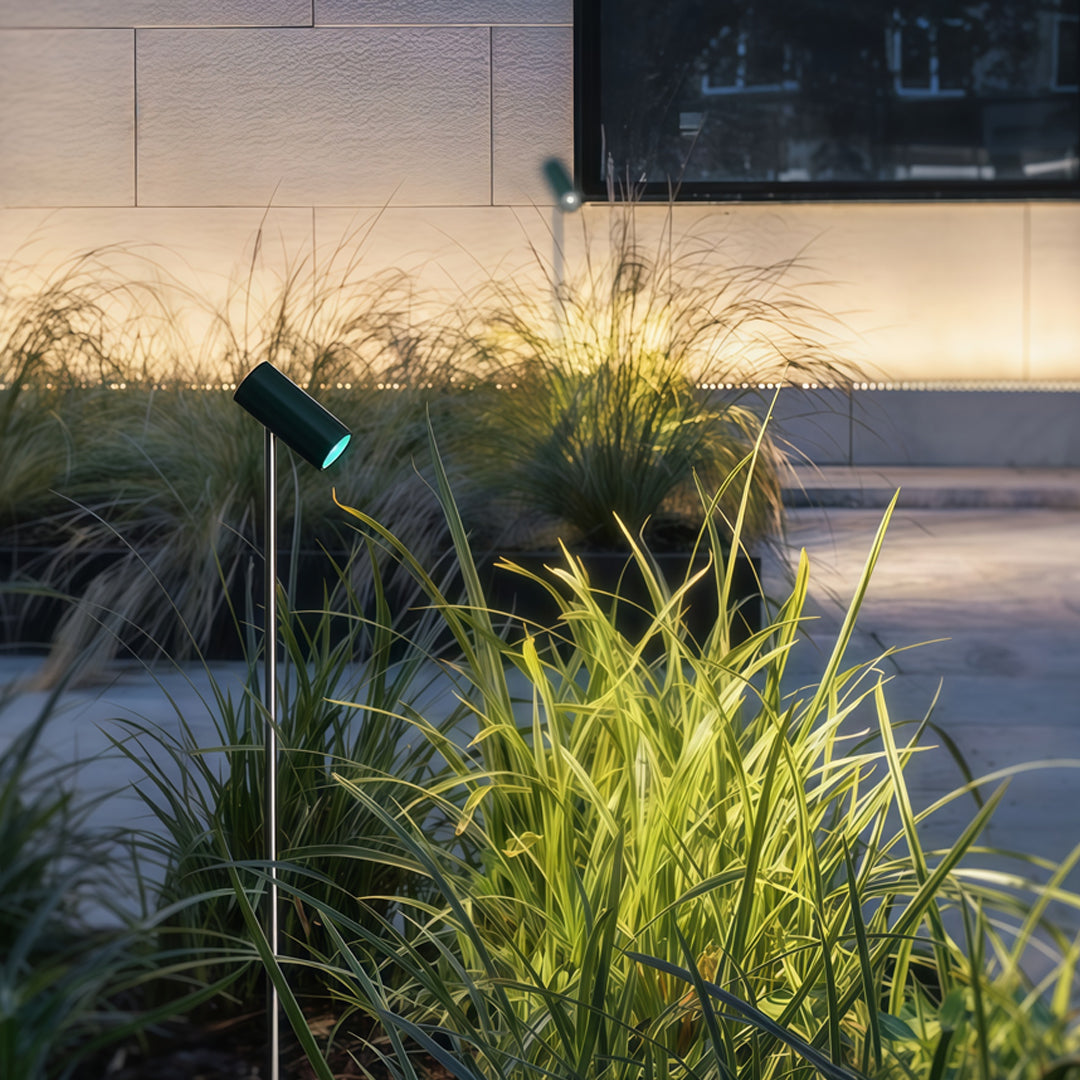 A contemporary black outdoor pathway light shining across ornamental plants, delivering functional and aesthetic pathway outdoor lighting.