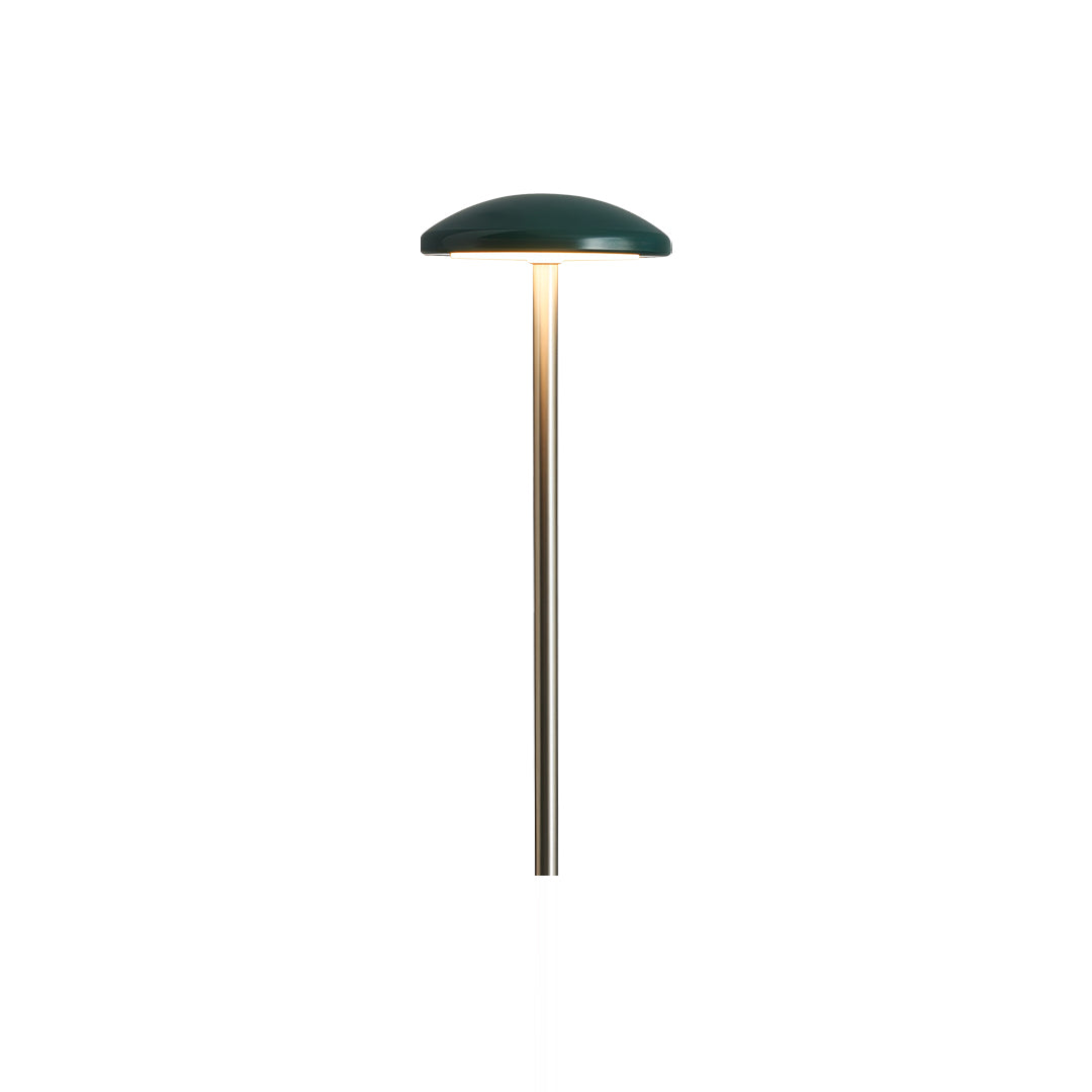 A tall slim outdoor lamp with a curved head, providing subtle illumination ideal for pathway outdoor lighting in landscaped areas.