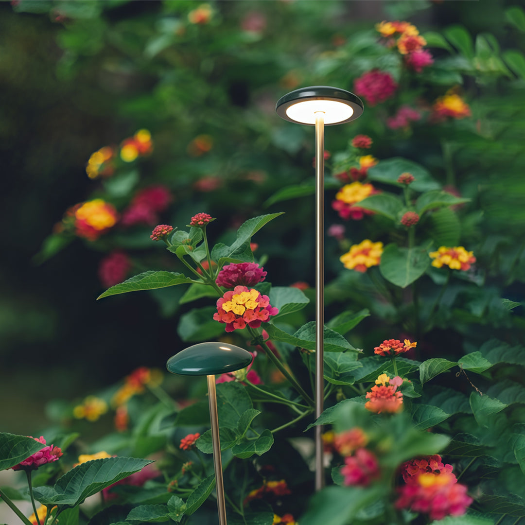 A warm-toned outdoor pathway light illuminating plants and garden borders, enhancing natural scenery with pathway outdoor lighting.