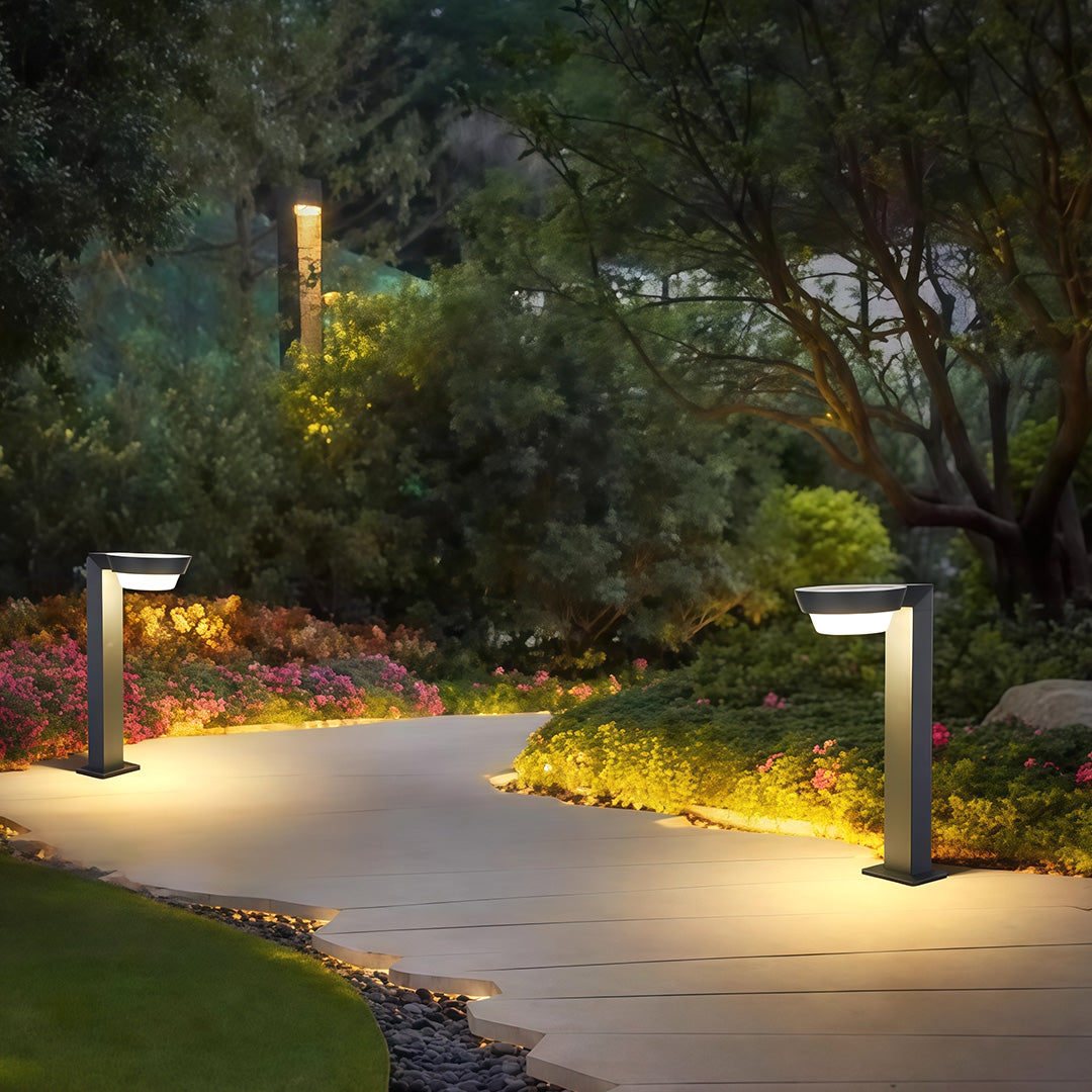 LED path lights along a paved garden path, creating a sophisticated outdoor atmosphere.