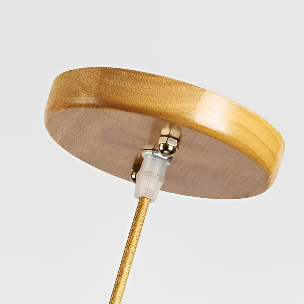 Pinecone pendant light with a close-up of its top and hanging mechanism.