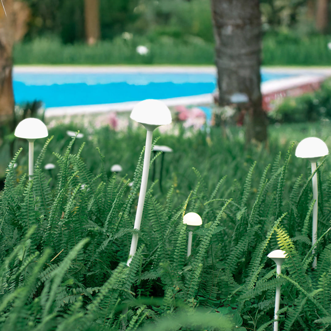 Multiple garden lights landscape fixtures installed near swimming pool creating elegant poolside illumination
