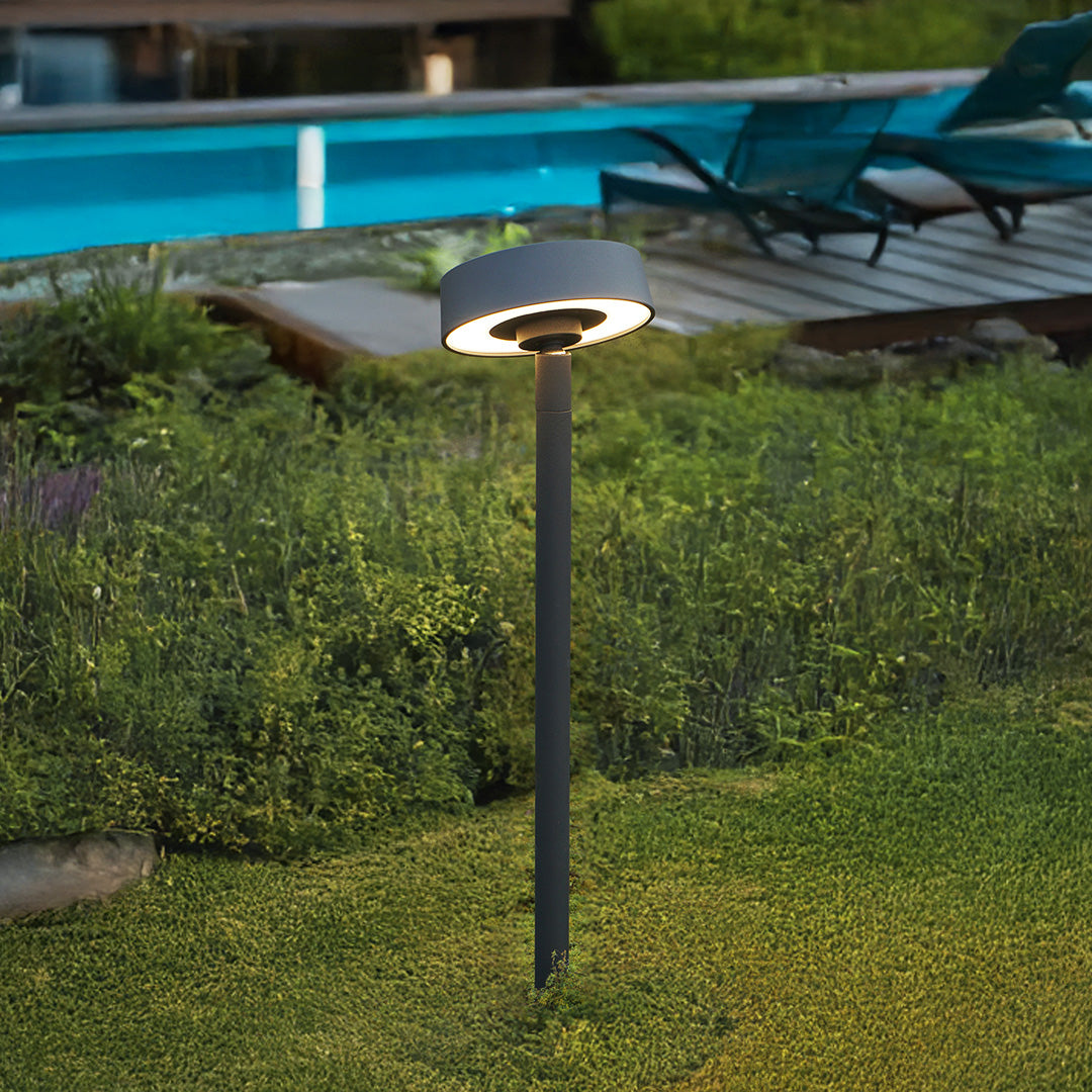 Professional poolside landscape outdoor lights installation creating elegant ambiance for luxury outdoor entertainment areas