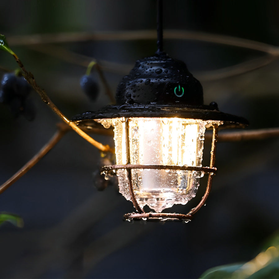 Portable hanging light with a classic design, hanging from a tree branch in the evening.