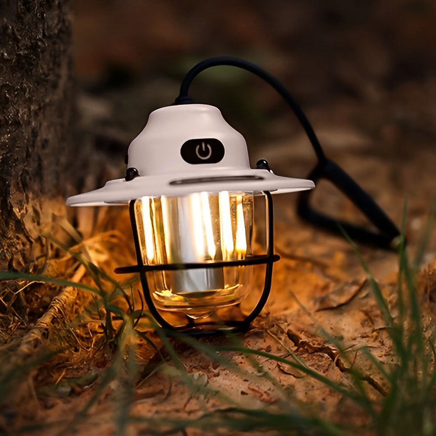 Portable hanging light with a metal cage, adding charm to an outdoor picnic setup.