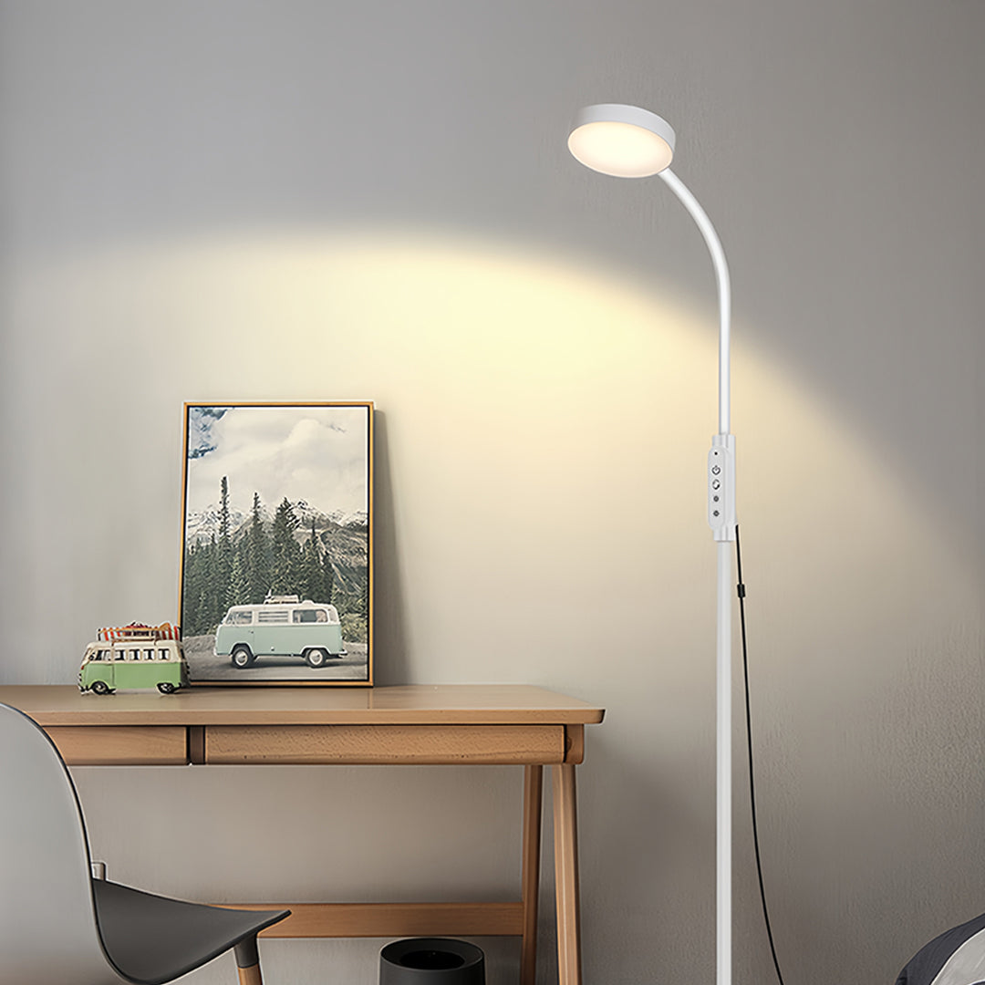 Premium led reading floor lamp positioned near desk in contemporary home office setting