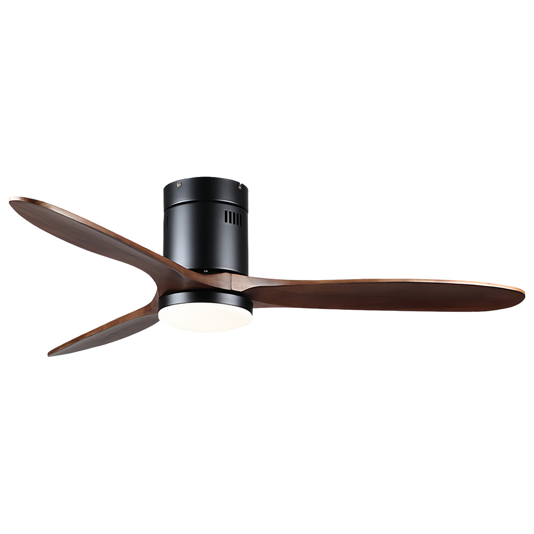 Premium wooden ceiling fan with light featuring dark bronze motor in contemporary interior