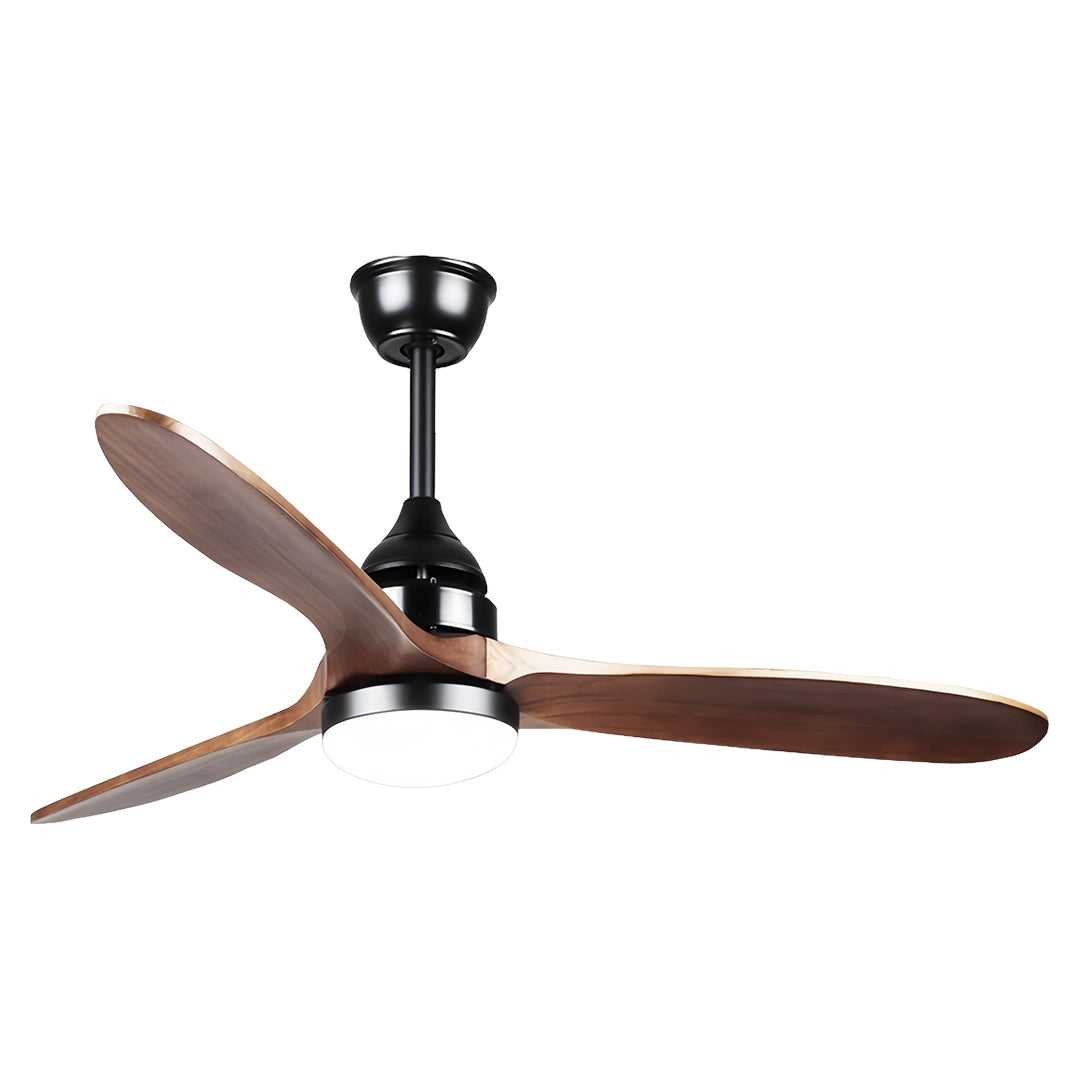 Premium wooden ceiling fan with light featuring dark bronze motor in contemporary interior