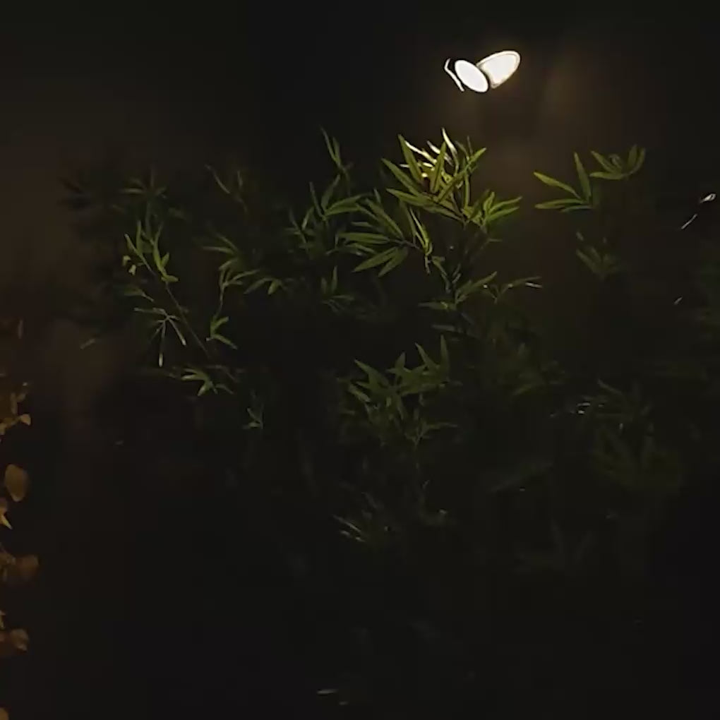 Load video: Solar Motion Security Light 3-Head Outdoor LED Wall Fixture with Motion Sensor