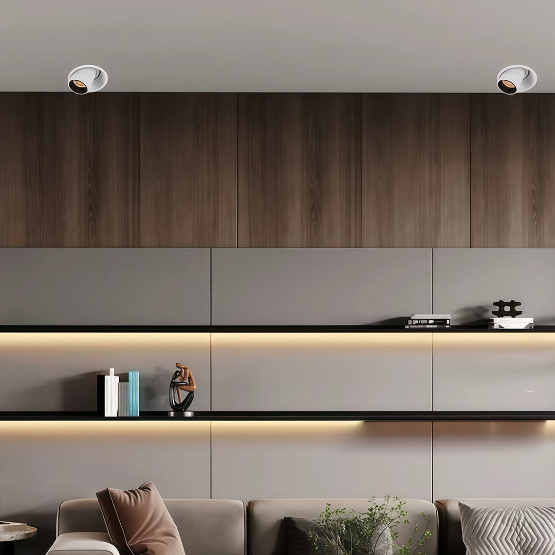 Professional adjustable LED ceiling spotlights featuring glass shade chandelier aesthetic in modern entryway with wood accents.