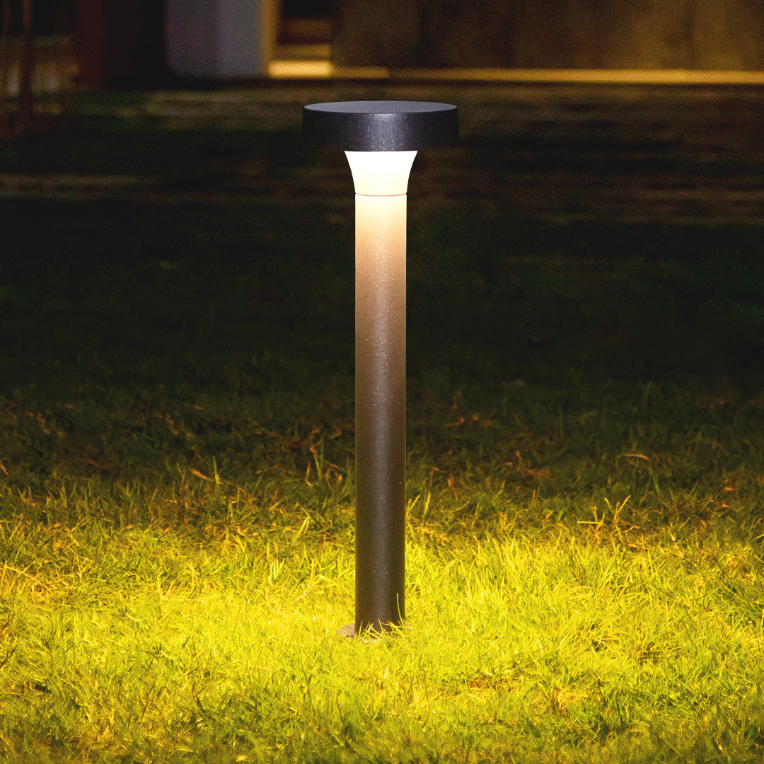 Professional outdoor lighting demonstration showing bollard fixture illuminating landscaped area