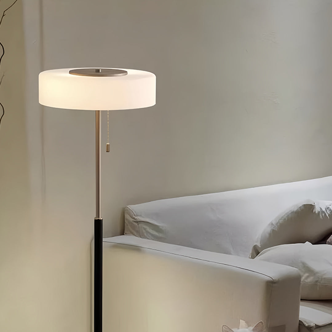 Professional LED floor lamp providing optimal lighting in modern workspace corner