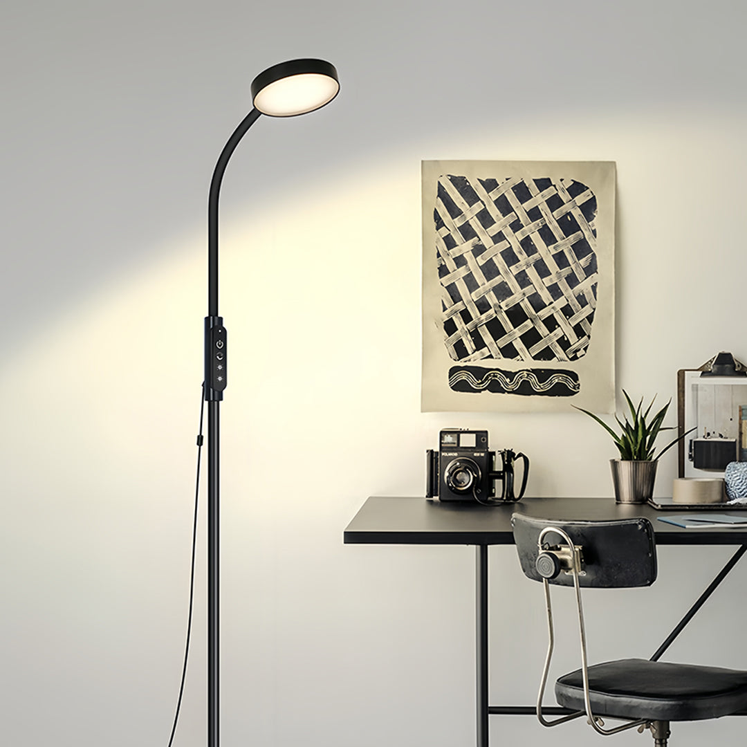 Professional led reading floor lamp installed in modern office workspace with clean aesthetic